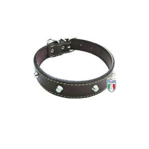Collare per cane in cuoio foderato e borchie