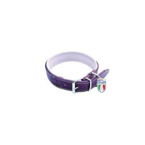 Collare per cane imbottito blu